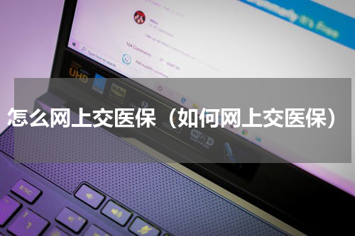 怎么网上交医保（如何网上交医保）