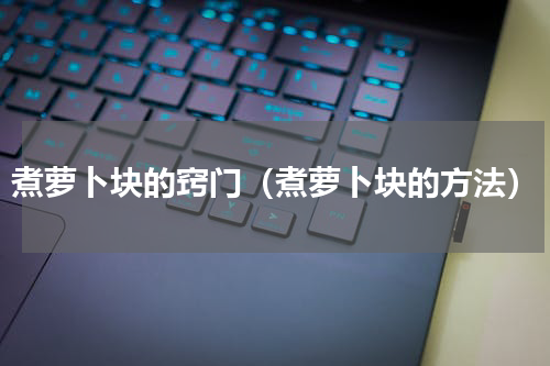 煮萝卜块的窍门（煮萝卜块的方法）