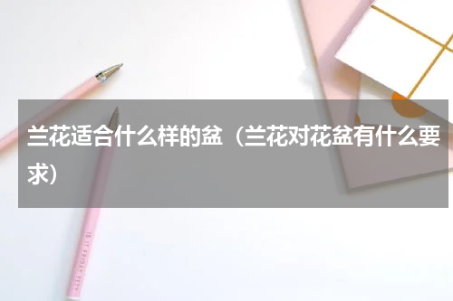兰花适合什么样的盆（兰花对花盆有什么要求）