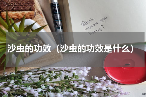 沙虫的功效（沙虫的功效是什么）