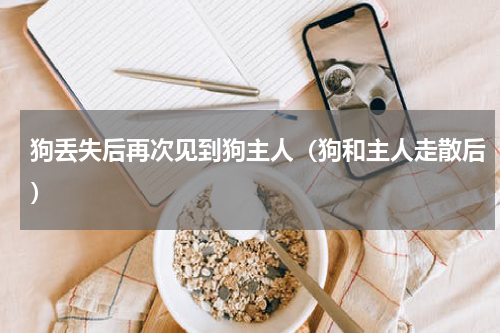 狗丢失后再次见到狗主人（狗和主人走散后）