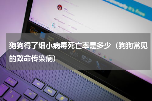狗狗得了细小病毒死亡率是多少（狗狗常见的致命传染病）