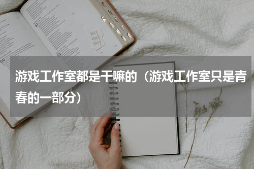 游戏工作室都是干嘛的（游戏工作室只是青春的一部分）