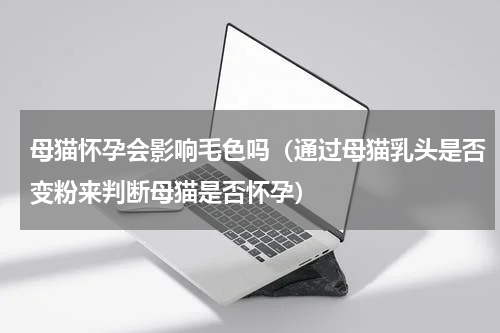 母猫怀孕会影响毛色吗（通过母猫乳头是否变粉来判断母猫是否怀孕）