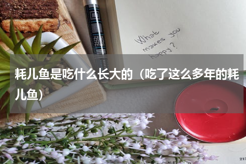 耗儿鱼是吃什么长大的（吃了这么多年的耗儿鱼）