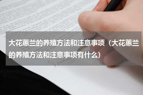 大花蕙兰的养殖方法和注意事项（大花蕙兰的养殖方法和注意事项有什么）
