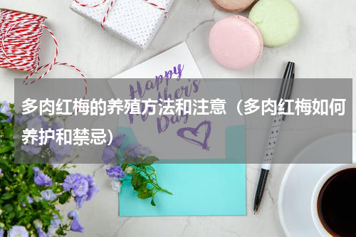 多肉红梅的养殖方法和注意（多肉红梅如何养护和禁忌）