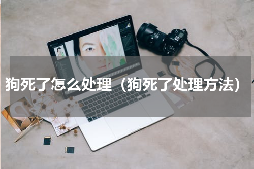 狗死了怎么处理（狗死了处理方法）