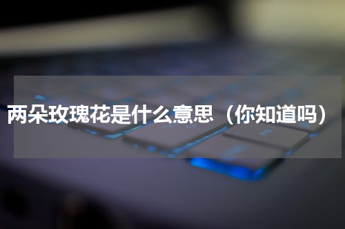 两朵玫瑰花是什么意思（你知道吗）