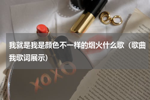我就是我是颜色不一样的烟火什么歌（歌曲我歌词展示）
