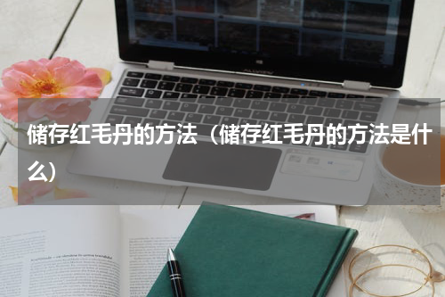 储存红毛丹的方法（储存红毛丹的方法是什么）