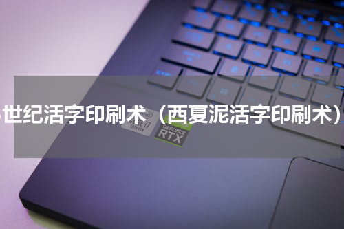 13世纪活字印刷术（西夏泥活字印刷术）