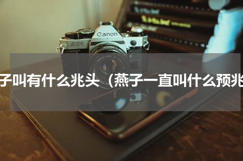 燕子叫有什么兆头（燕子一直叫什么预兆）