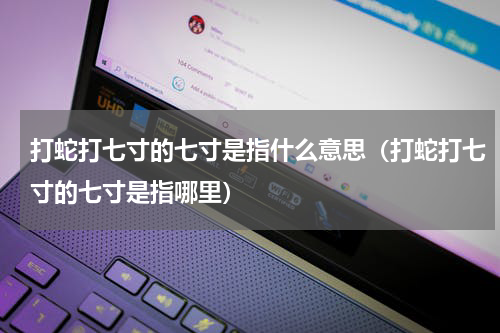 打蛇打七寸的七寸是指什么意思（打蛇打七寸的七寸是指哪里）