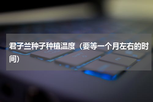 君子兰种子种植温度（要等一个月左右的时间）