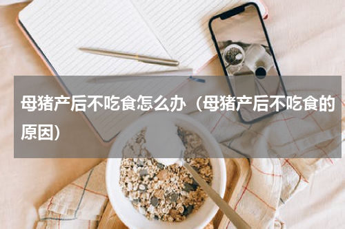 母猪产后不吃食怎么办（母猪产后不吃食的原因）