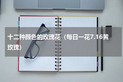 十二种颜色的玫瑰花（每日一花7.16黄玫瑰）
