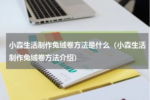 小森生活制作兔绒卷方法是什么（小森生活制作兔绒卷方法介绍）