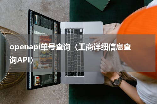 openapi单号查询（工商详细信息查询API）