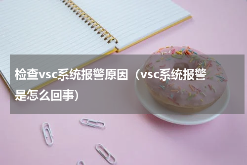 检查vsc系统报警原因（vsc系统报警是怎么回事）