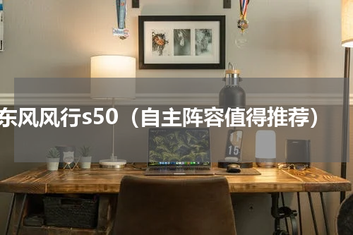 东风风行s50（自主阵容值得推荐）