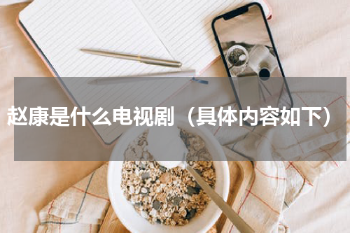 赵康是什么电视剧（具体内容如下）