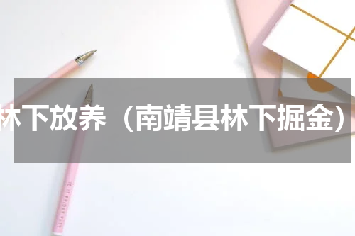 林下放养（南靖县林下掘金）