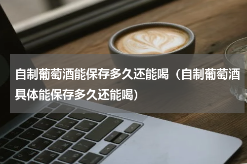 自制葡萄酒能保存多久还能喝（自制葡萄酒具体能保存多久还能喝）