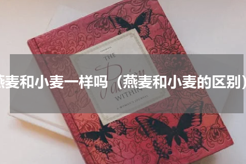 燕麦和小麦一样吗（燕麦和小麦的区别）