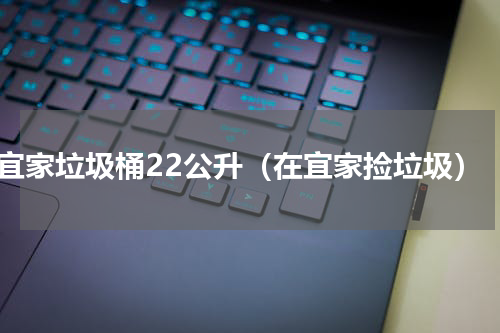 宜家垃圾桶22公升（在宜家捡垃圾）