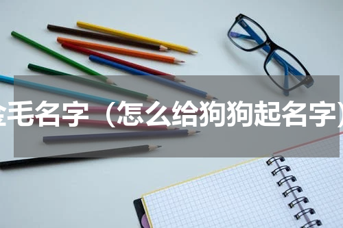 金毛名字（怎么给狗狗起名字）