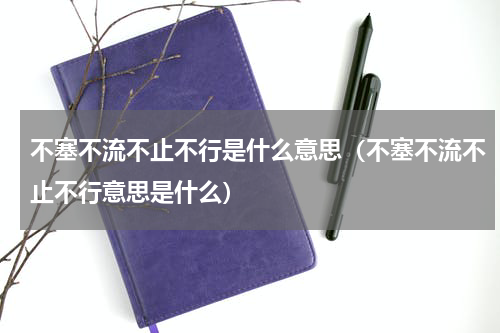 不塞不流不止不行是什么意思（不塞不流不止不行意思是什么）