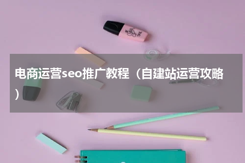 电商运营seo推广教程（自建站运营攻略）