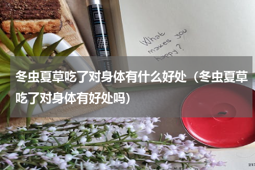 冬虫夏草吃了对身体有什么好处（冬虫夏草吃了对身体有好处吗）