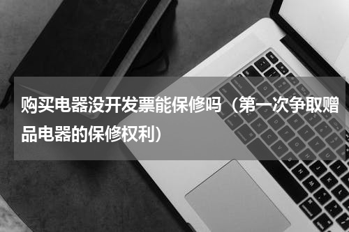 购买电器没开发票能保修吗（第一次争取赠品电器的保修权利）