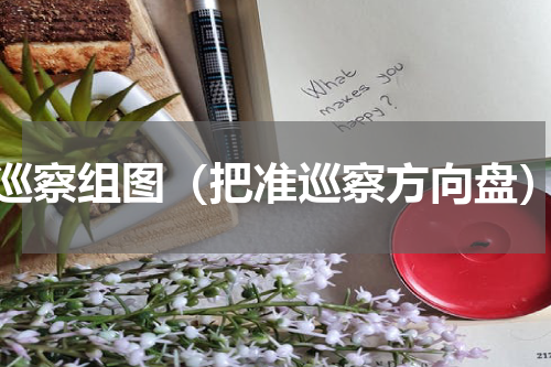 巡察组图（把准巡察方向盘）