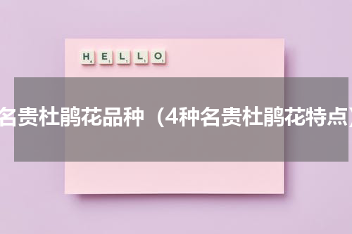 最名贵杜鹃花品种（4种名贵杜鹃花特点）