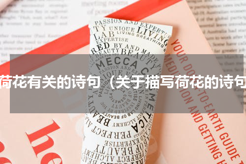 与荷花有关的诗句（关于描写荷花的诗句）