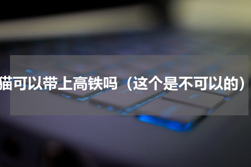猫可以带上高铁吗（这个是不可以的）