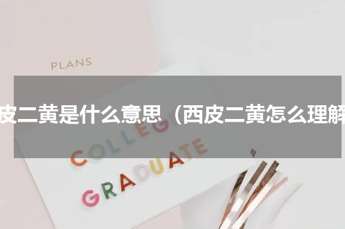 西皮二黄是什么意思（西皮二黄怎么理解）