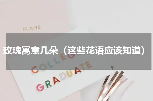 玫瑰寓意几朵（这些花语应该知道）