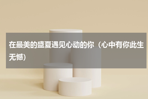 在最美的盛夏遇见心动的你（心中有你此生无憾）