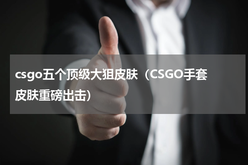 csgo五个顶级大狙皮肤（CSGO手套皮肤重磅出击）