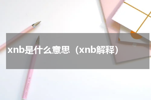 xnb是什么意思（xnb解释）