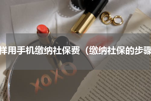 怎样用手机缴纳社保费（缴纳社保的步骤）