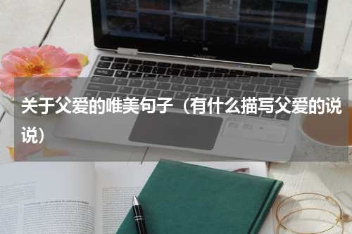 关于父爱的唯美句子（有什么描写父爱的说说）