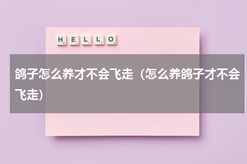 鸽子怎么养才不会飞走（怎么养鸽子才不会飞走）
