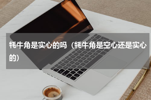 牦牛角是实心的吗（牦牛角是空心还是实心的）