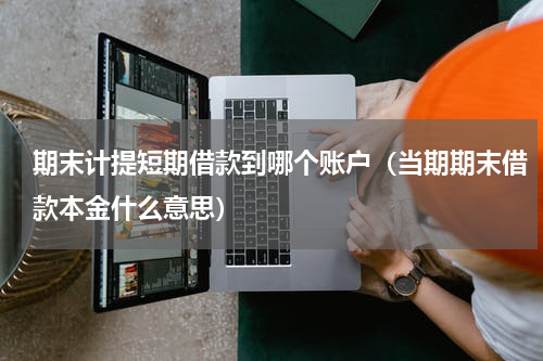 期末计提短期借款到哪个账户（当期期末借款本金什么意思）