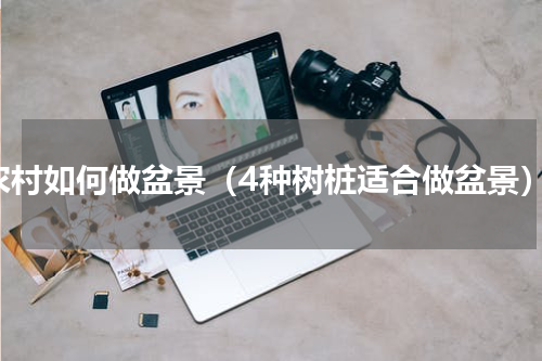 农村如何做盆景（4种树桩适合做盆景）